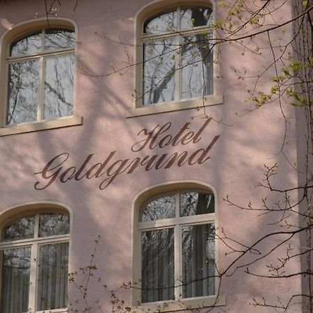 Hotel Goldgrund ไมเซน ห้อง รูปภาพ